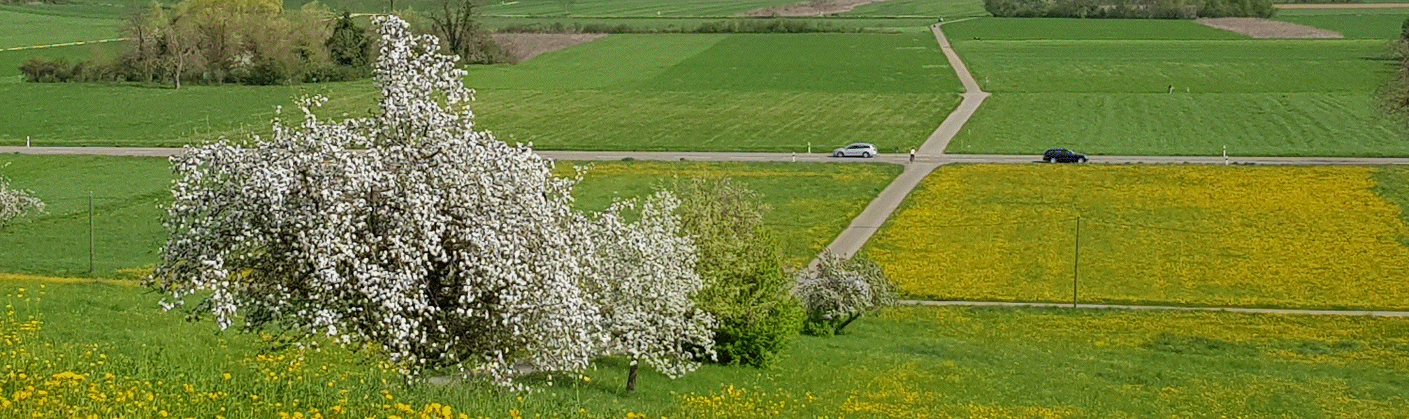 Aesch mit Blick auf Basel