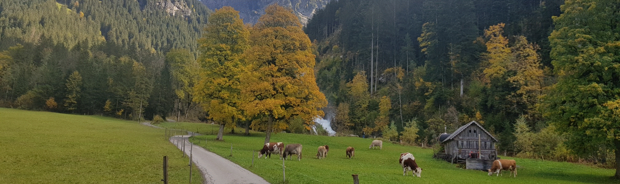 Simmenfälle